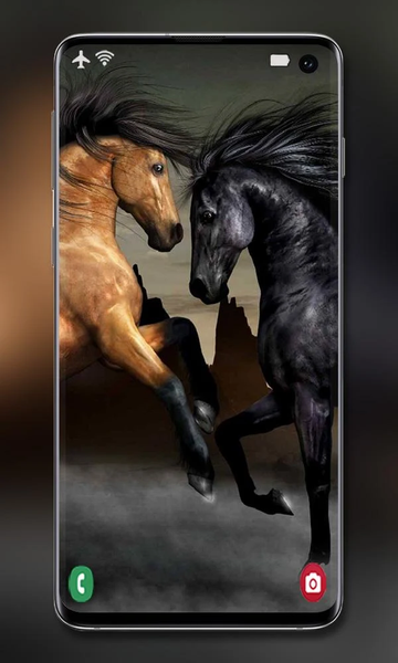 Horse Wallpapers - عکس برنامه موبایلی اندروید