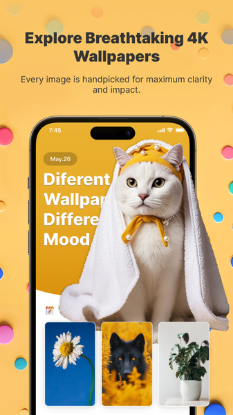 EHE 4K WallPro - Image screenshot of android app