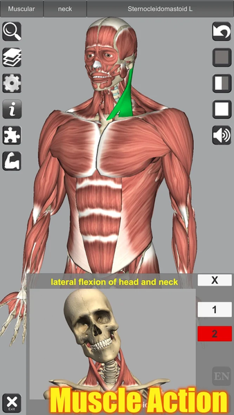 ۳D Anatomy - عکس برنامه موبایلی اندروید