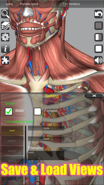 ۳D Anatomy - عکس برنامه موبایلی اندروید