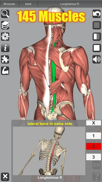 ۳D Anatomy - عکس برنامه موبایلی اندروید