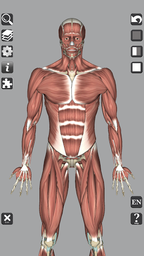 3D Bones and Organs (Anatomy) - عکس برنامه موبایلی اندروید