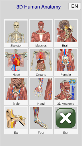 3D Bones and Organs (Anatomy) - عکس برنامه موبایلی اندروید