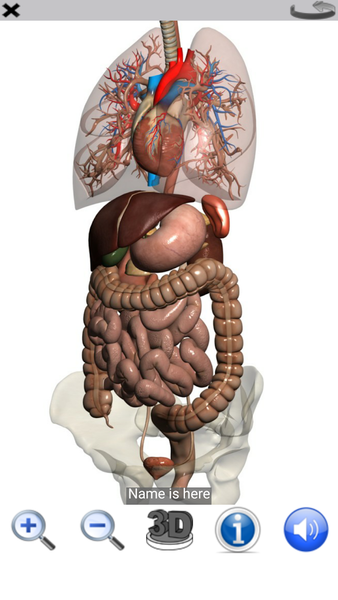 Visual Anatomy Lite - عکس برنامه موبایلی اندروید