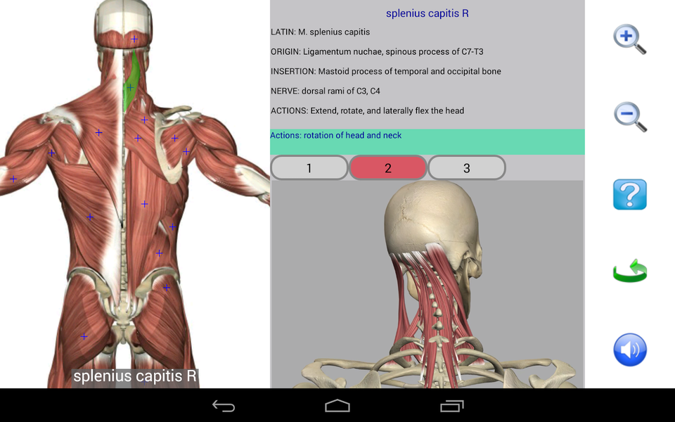 Visual Anatomy Lite - عکس برنامه موبایلی اندروید