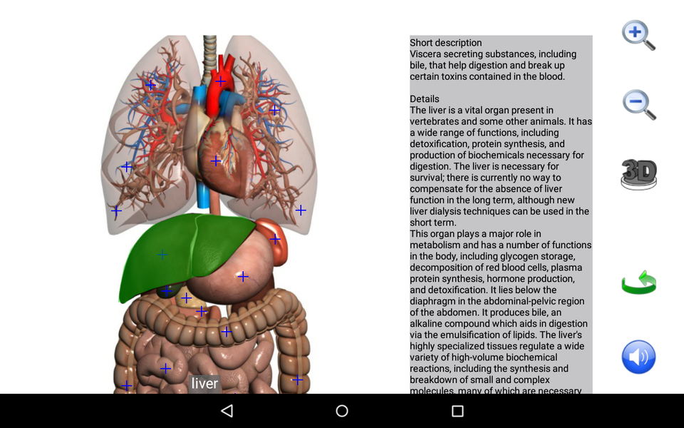Visual Anatomy Lite - عکس برنامه موبایلی اندروید