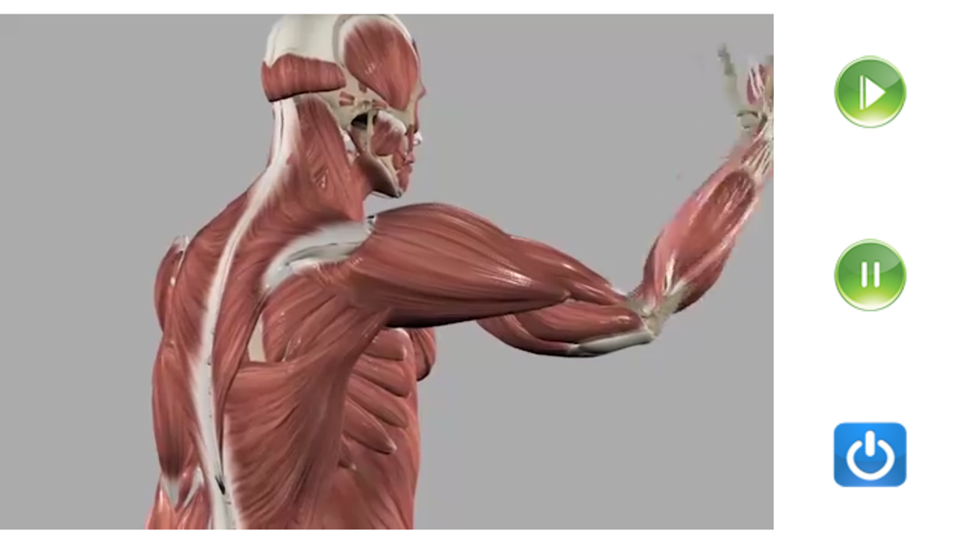 Visual Anatomy Lite - عکس برنامه موبایلی اندروید