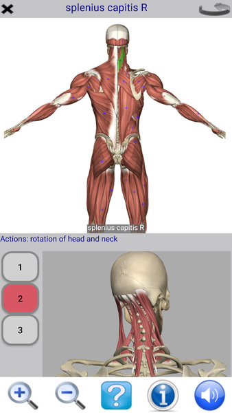 Visual Anatomy Lite - عکس برنامه موبایلی اندروید