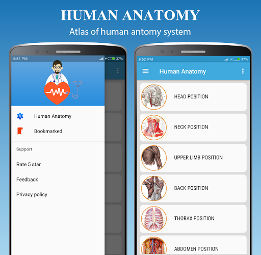 Human Anatomy Atlas - Anatomy - Image screenshot of android app