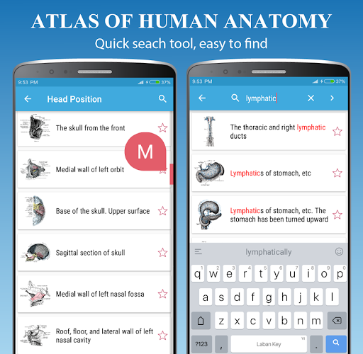 Human Anatomy Atlas - Anatomy - عکس برنامه موبایلی اندروید