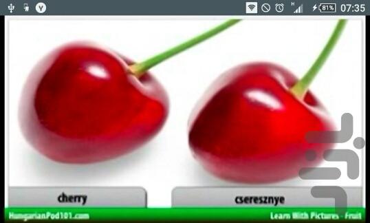 آموزش لغات روزمره مجارستانی - Image screenshot of android app