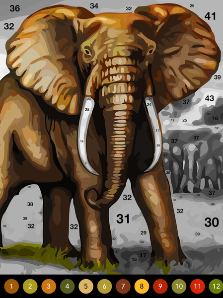 Photo by Number - عکس برنامه موبایلی اندروید