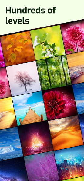 ۶ Tries ۱ Word - عکس بازی موبایلی اندروید