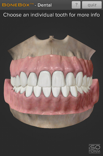 BoneBox™ - Dental Lite - عکس برنامه موبایلی اندروید