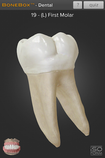 BoneBox™ - Dental Lite - عکس برنامه موبایلی اندروید