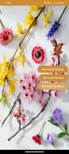 Wallpapers: Simple and easy - Image screenshot of android app