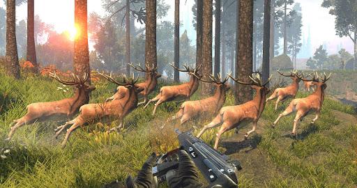 Deer Hunting 2020 - Animal Sniper Shooting Game - Gameplay image of android game