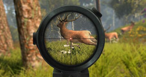 Deer Hunting 2020 - Animal Sniper Shooting Game - Gameplay image of android game