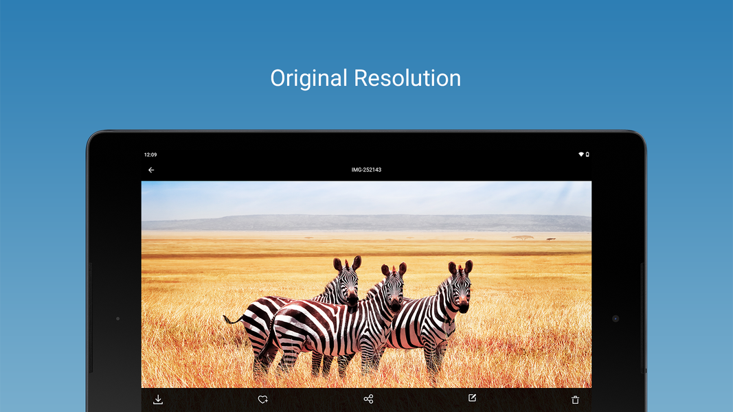 IDrive Photo Backup - Image screenshot of android app