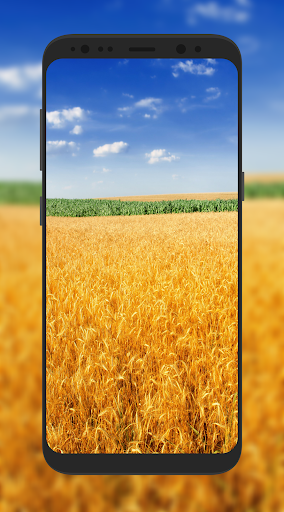 Nature Wallpaper HD - Image screenshot of android app