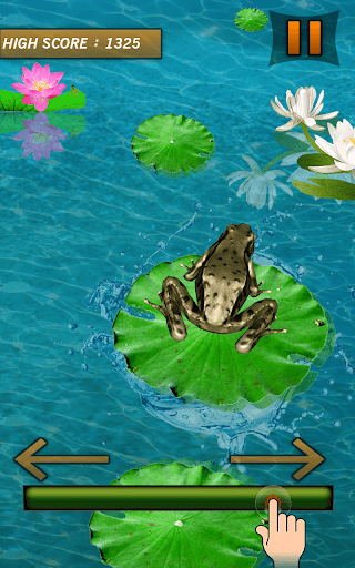 Frog Jumping Mania Game for Android - Download