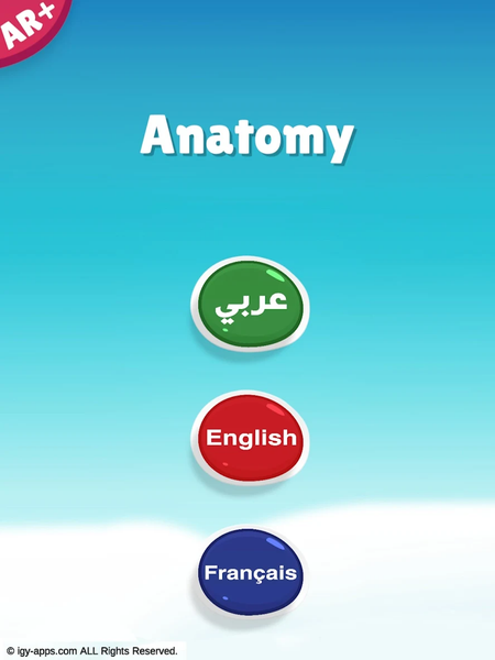 ۳D Dictionary (Arabic-French) - عکس برنامه موبایلی اندروید