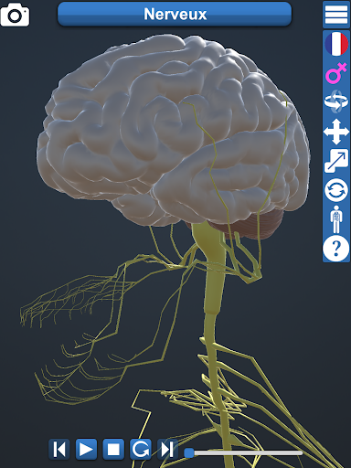 Anatomy ۳D - عکس برنامه موبایلی اندروید