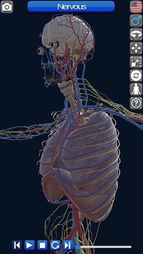 Anatomy ۳D - عکس برنامه موبایلی اندروید