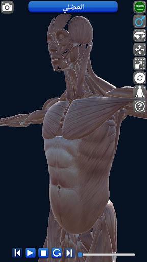 Anatomy ۳D - عکس برنامه موبایلی اندروید