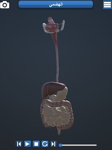 Anatomy ۳D - عکس برنامه موبایلی اندروید