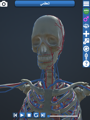 Anatomy ۳D - عکس برنامه موبایلی اندروید