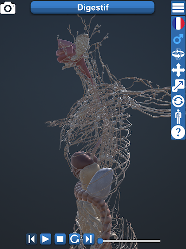 Anatomy 3D - عکس برنامه موبایلی اندروید