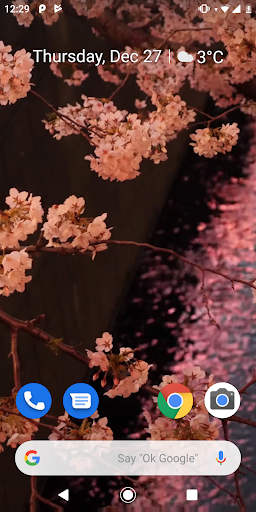 Japanese Sakura Garden Video Wallpapers Gallery - Image screenshot of android app