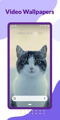 Video Wallpapers - عکس برنامه موبایلی اندروید