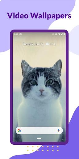 Video Wallpapers - Image screenshot of android app