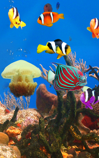 Aquarium and fishes - Image screenshot of android app