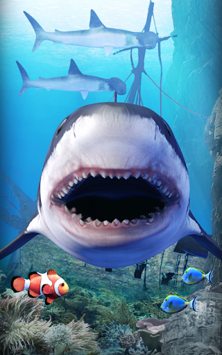 Shark aquarium - عکس برنامه موبایلی اندروید