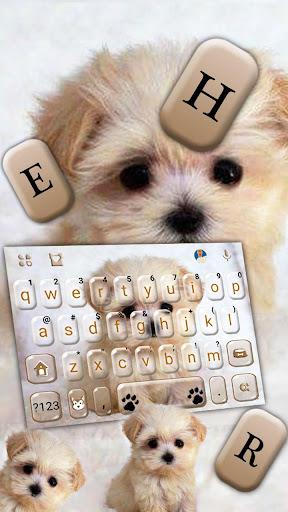 Innocent Puppy Keyboard Theme - عکس برنامه موبایلی اندروید