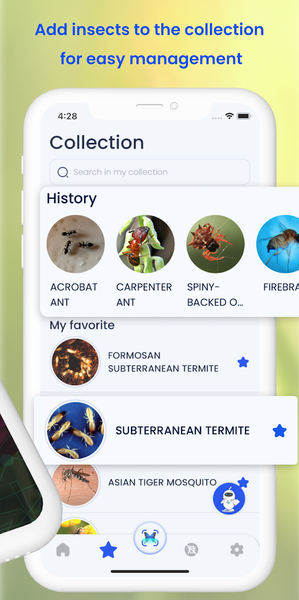 Insect ID: AI Bug Identifier - عکس برنامه موبایلی اندروید