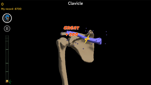 Anatomy Ninja Upper Limb - Image screenshot of android app