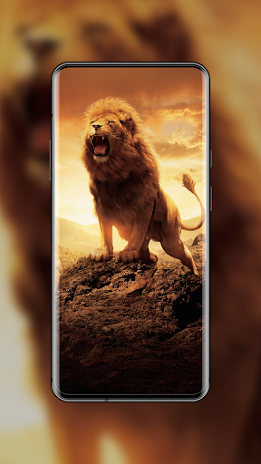 ۴K Wallpapers - تصاویر پسزمینه - عکس برنامه موبایلی اندروید