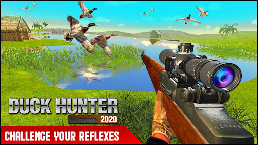 duck hunting games free