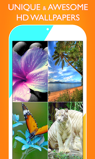Wallpapers HD - Image screenshot of android app