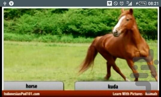 آموزش لغات روزمره اندونزیایی - عکس برنامه موبایلی اندروید