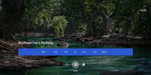 Ministra Player for Android TV - Image screenshot of android app