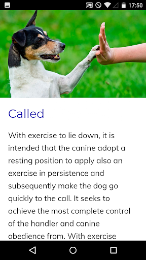 Canine Training Course - عکس برنامه موبایلی اندروید