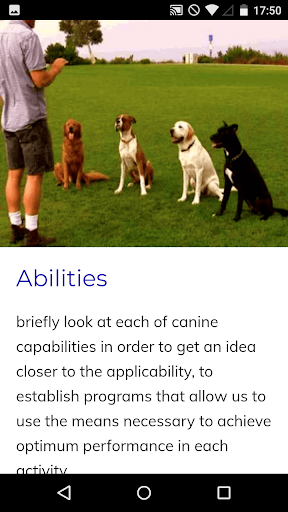 Canine Training Course - Image screenshot of android app