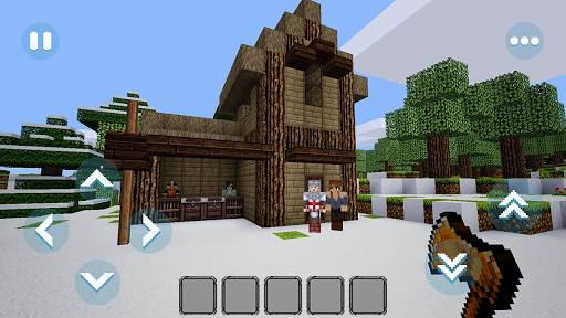 Boys Craft: Winter King - Gameplay image of android game