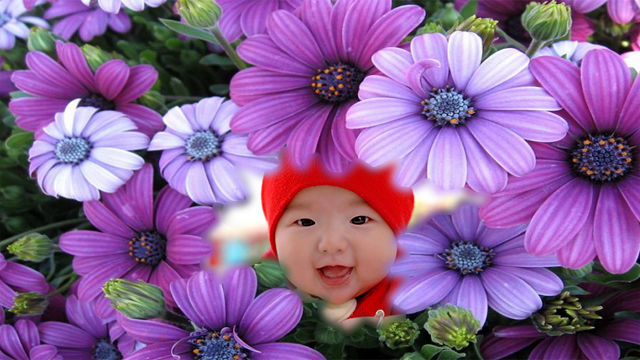 Sakura Flower Photo Frames - Image screenshot of android app