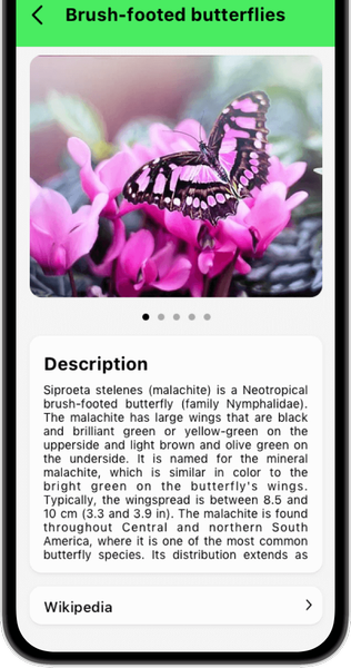 Bug Identifier Bug Finder - عکس برنامه موبایلی اندروید
